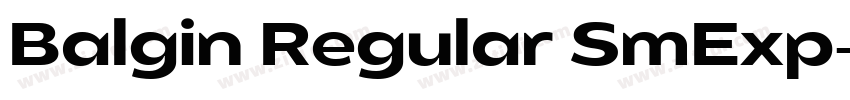 Balgin Regular SmExp字体转换